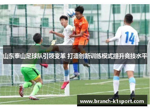 山东泰山足球队引领变革 打造创新训练模式提升竞技水平 山东泰山足球队引领变革 打造创新训练模式提升竞技水平