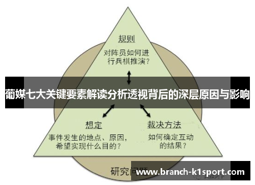 葡媒七大关键要素解读分析透视背后的深层原因与影响