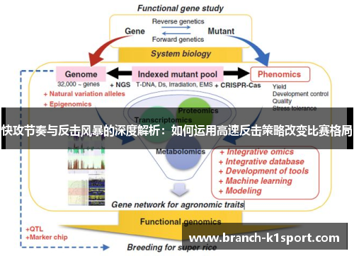 快攻节奏与反击风暴的深度解析：如何运用高速反击策略改变比赛格局